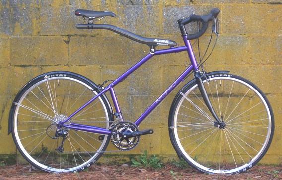 A Rodriguez road bike with a Softride beam