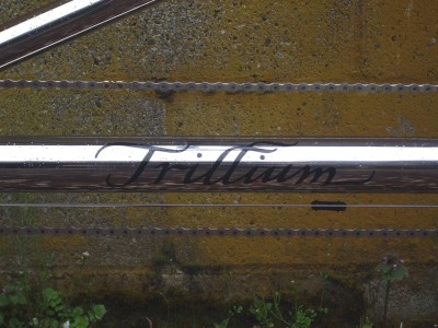 polished titanium tandem 7