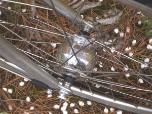 Silver Rohloff on a Rodriguez