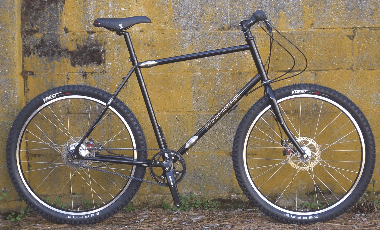 Makeshift with Rohloff and Gates Belt Drive