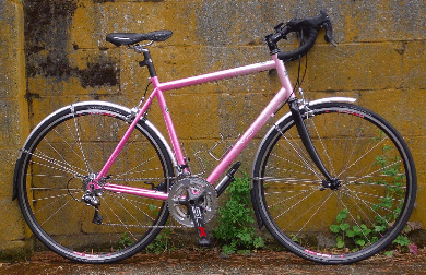 Pink Kitty Rainier