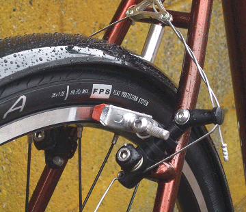 fork with Big Squeeze Brakes installed
