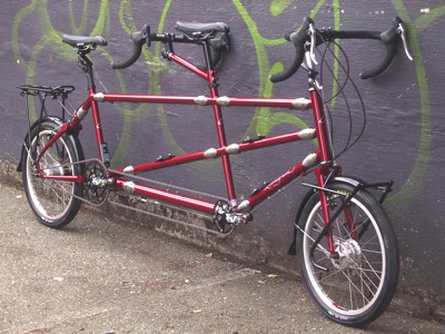 Rodriguez Custom Tandem with 14 couplings and Rohloff Speedhub