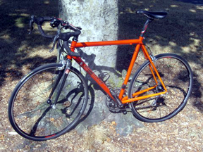 Bruce E's Rodriguez bike against a tree